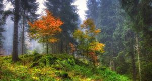 Respiro