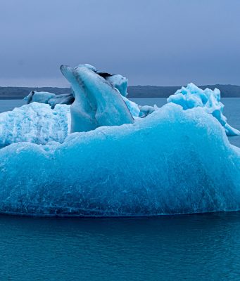 Mediterraneo in fiamme: il caldo estremo minaccia la vita marina e favorisce le specie aliene